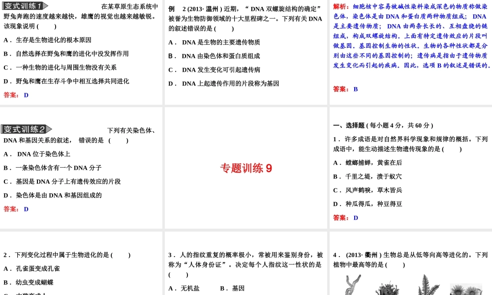 2014年中考科学专题复习 第一部分 生命科学 9 遗传与进化课件