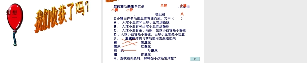2014七年级生物下册 4.11.1 人体泌尿系统的组成课件二 （新版）苏教版