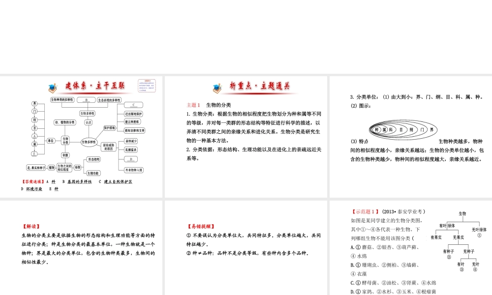 2014年秋八年级生物上册 6.3 保护生物的多样性复习课件 （新版）新人教版