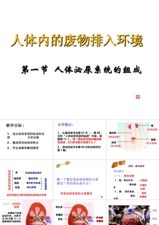 2014七年级生物下册 4.11.1 人体泌尿系统的组成课件三 （新版）苏教版