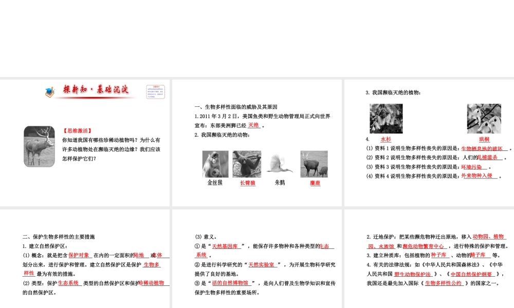 2014年秋八年级生物上册 6.3 保护生物的多样性课件 （新版）新人教版