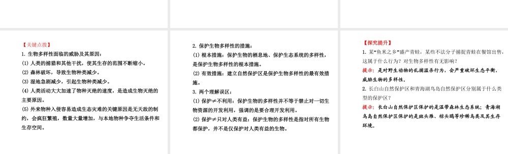 2014年秋八年级生物上册 6.3 保护生物的多样性课件 （新版）新人教版
