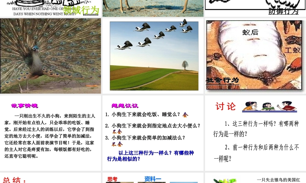 2014年秋八年级生物上册 第16章 第1节 先天性行为和后天学习行为课件 北师大版