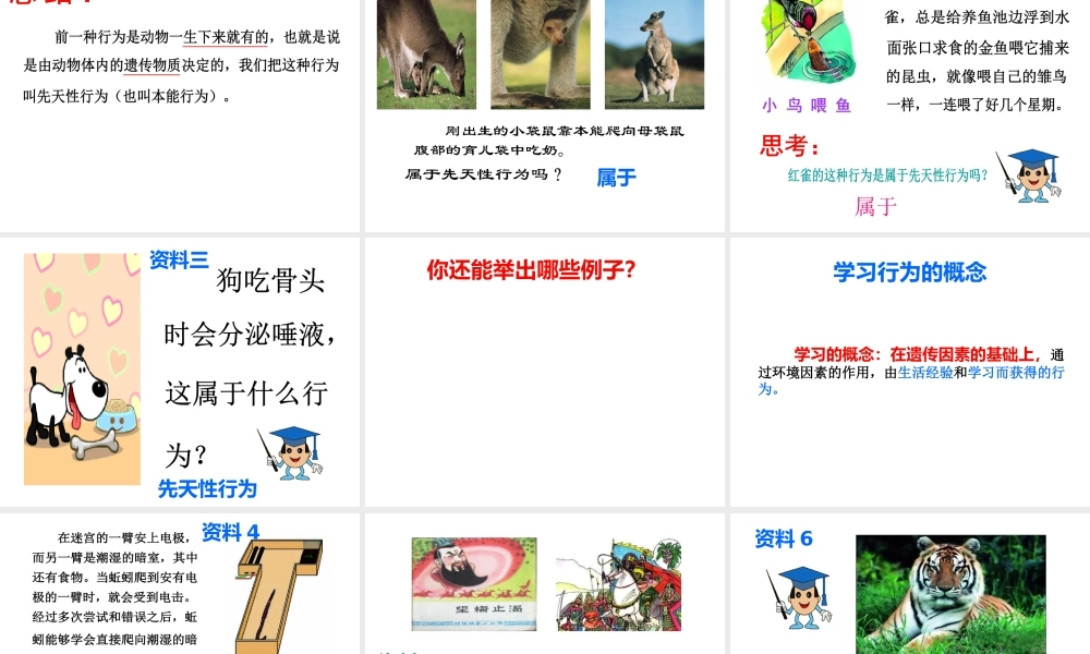 2014年秋八年级生物上册 第16章 第1节 先天性行为和后天学习行为课件 北师大版