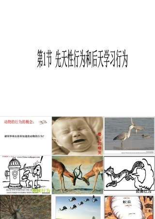 2014年秋八年级生物上册 第16章 第1节 先天性行为和后天学习行为课件 北师大版