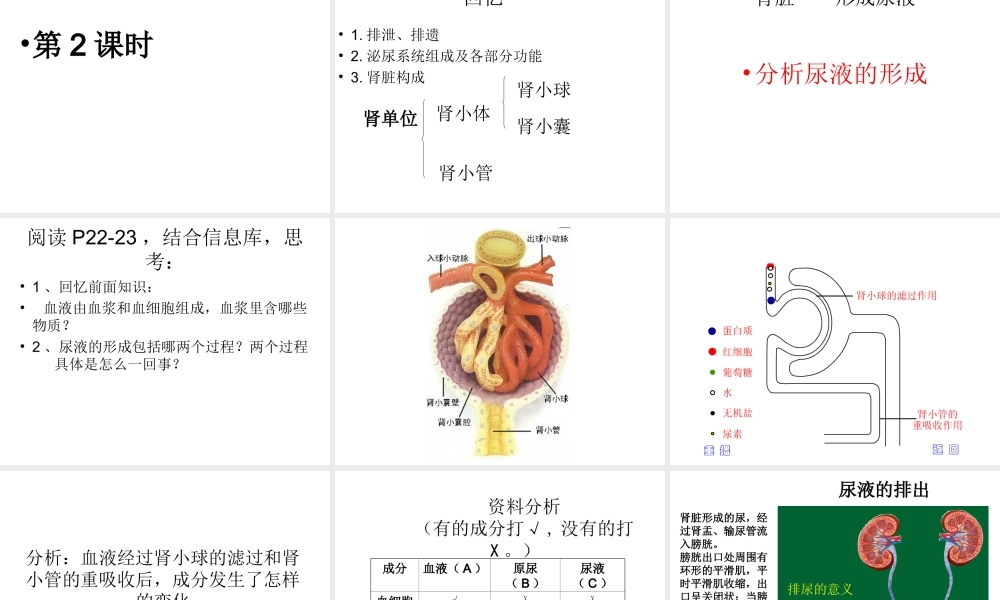 2014七年级生物下册 4.11.2 人体废物的排出课件二 （新版）苏教版