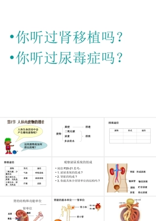 2014七年级生物下册 4.11.2 人体废物的排出课件二 （新版）苏教版