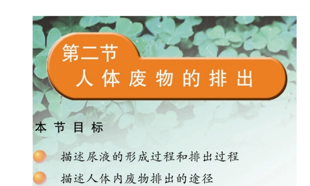 2014七年级生物下册 4.11.2 人体废物的排出课件一 （新版）苏教版