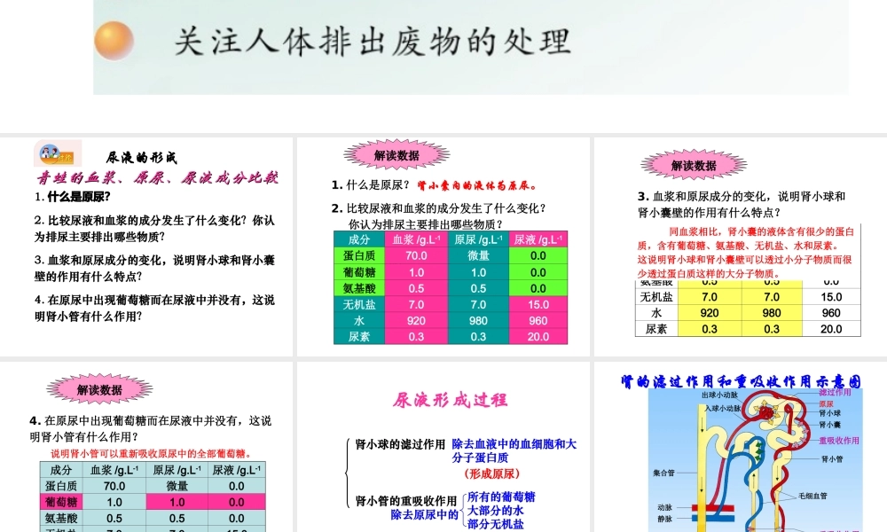 2014七年级生物下册 4.11.2 人体废物的排出课件一 （新版）苏教版
