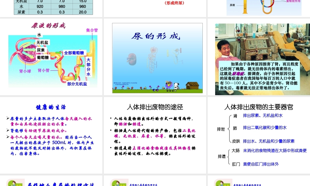 2014七年级生物下册 4.11.2 人体废物的排出课件一 （新版）苏教版