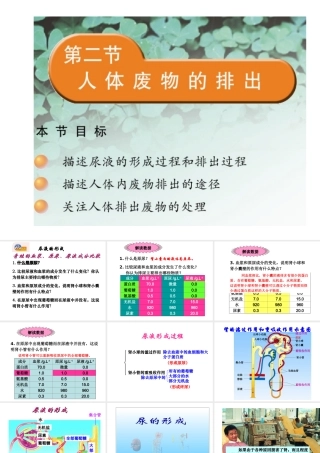 2014七年级生物下册 4.11.2 人体废物的排出课件一 （新版）苏教版