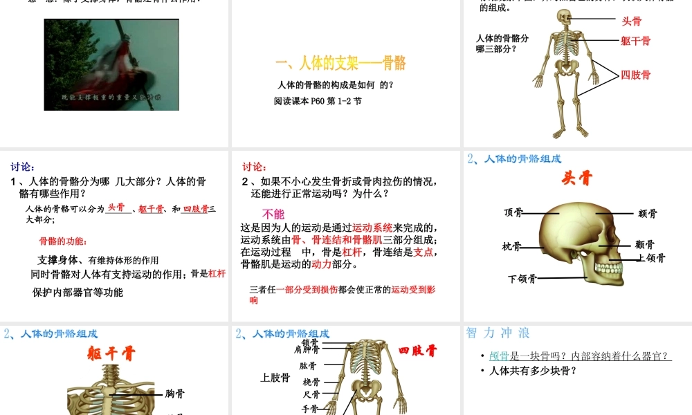 2014年秋八年级生物上册 第17章 第1节 人体的支持与运动课件 （新版）苏科版