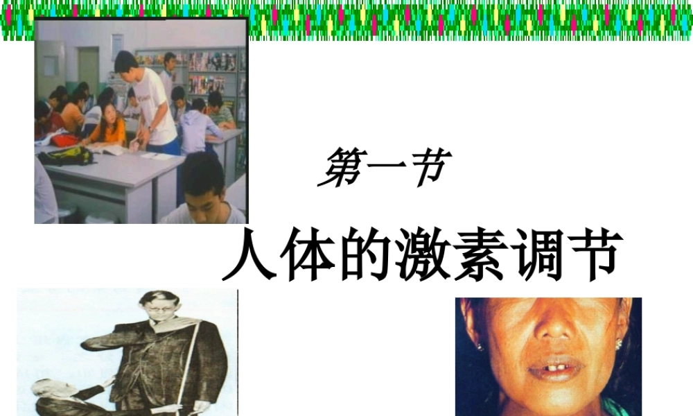 2014七年级生物下册 4.12.1 人体的激素调节课件二 （新版）苏教版