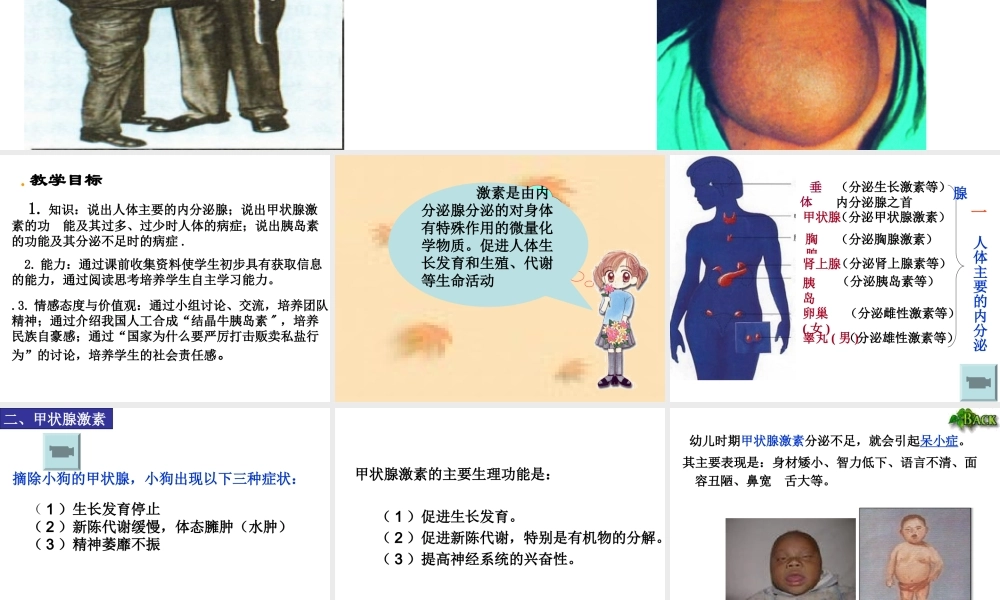 2014七年级生物下册 4.12.1 人体的激素调节课件二 （新版）苏教版