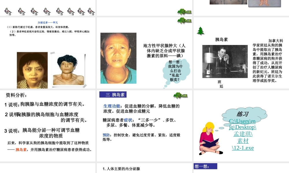 2014七年级生物下册 4.12.1 人体的激素调节课件二 （新版）苏教版