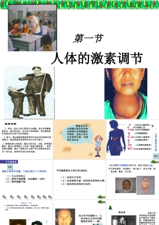 2014七年级生物下册 4.12.1 人体的激素调节课件二 （新版）苏教版