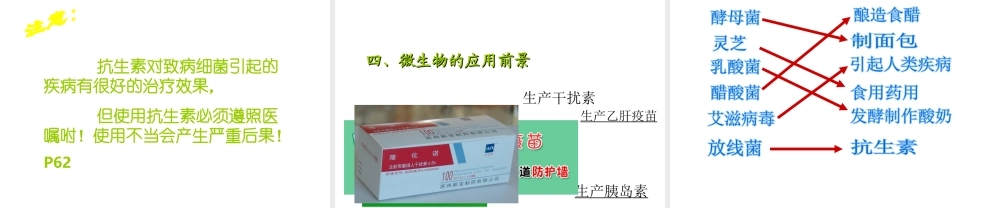 2014年秋八年级生物上册 第18章 第2节 微生物与人类的关系课件 北师大版