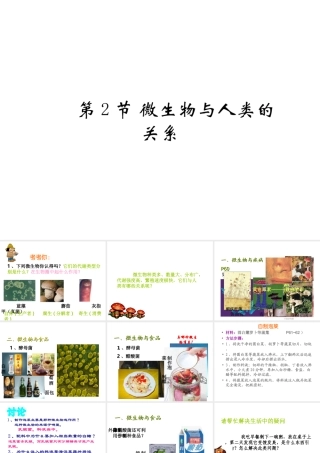 2014年秋八年级生物上册 第18章 第2节 微生物与人类的关系课件 北师大版