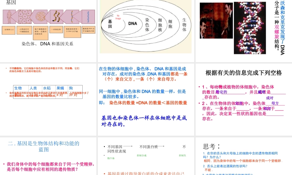 2014年秋八年级生物上册 第20章 第2节 性状遗传的物质基础课件 北师大版