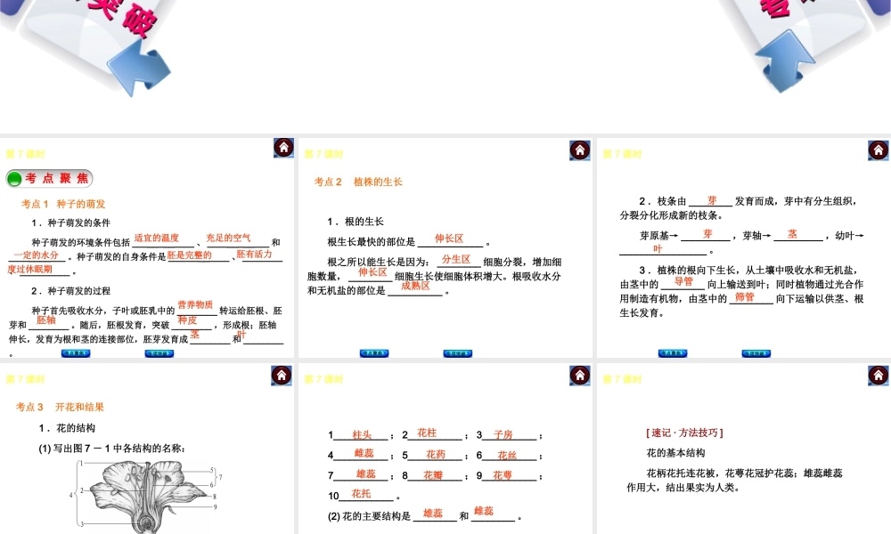 2014中考生物复习方案 被子植物的一生（考点聚焦+专项突破，含2013试题）课件 新人教版