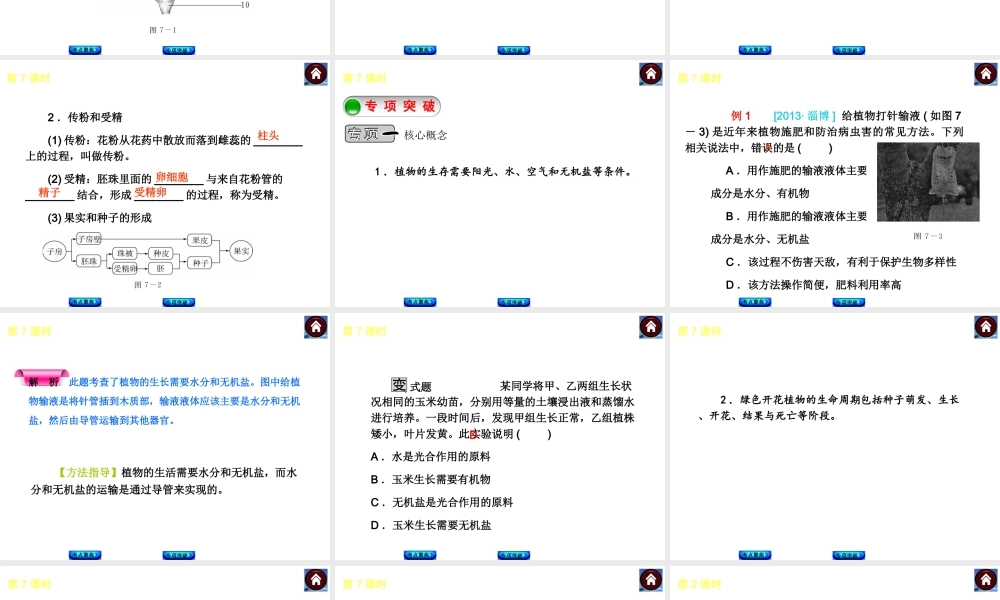 2014中考生物复习方案 被子植物的一生（考点聚焦+专项突破，含2013试题）课件 新人教版