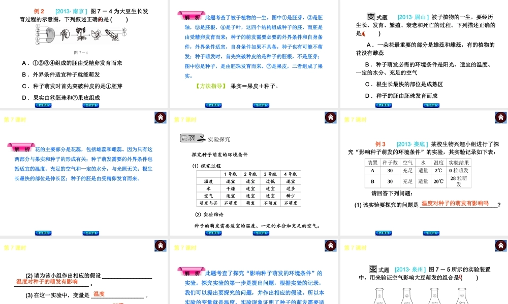 2014中考生物复习方案 被子植物的一生（考点聚焦+专项突破，含2013试题）课件 新人教版