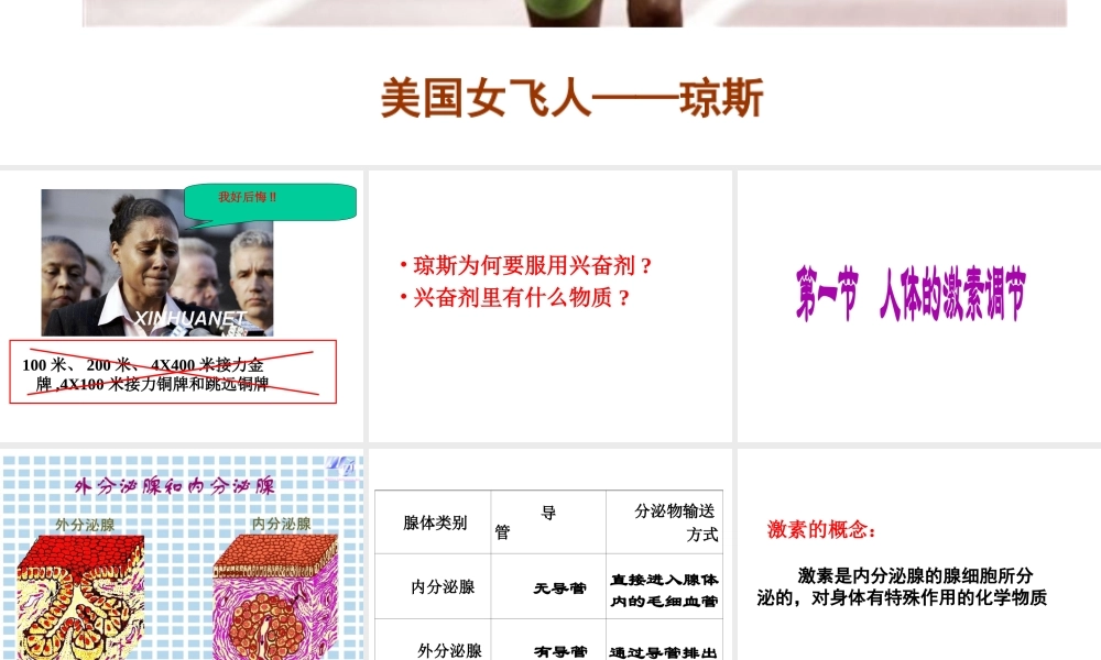 2014七年级生物下册 4.12.1 人体的激素调节课件三 （新版）苏教版