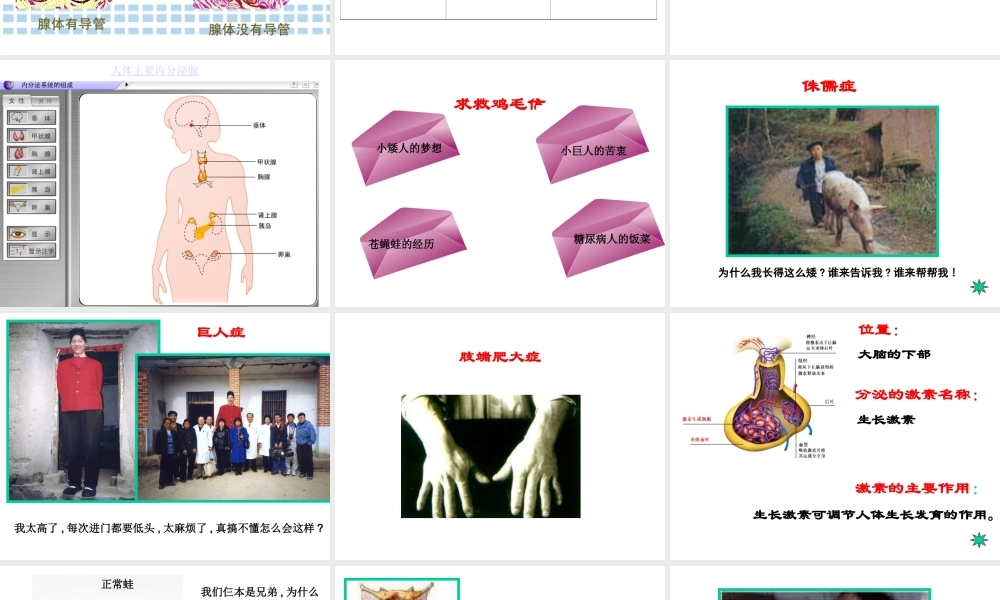 2014七年级生物下册 4.12.1 人体的激素调节课件三 （新版）苏教版