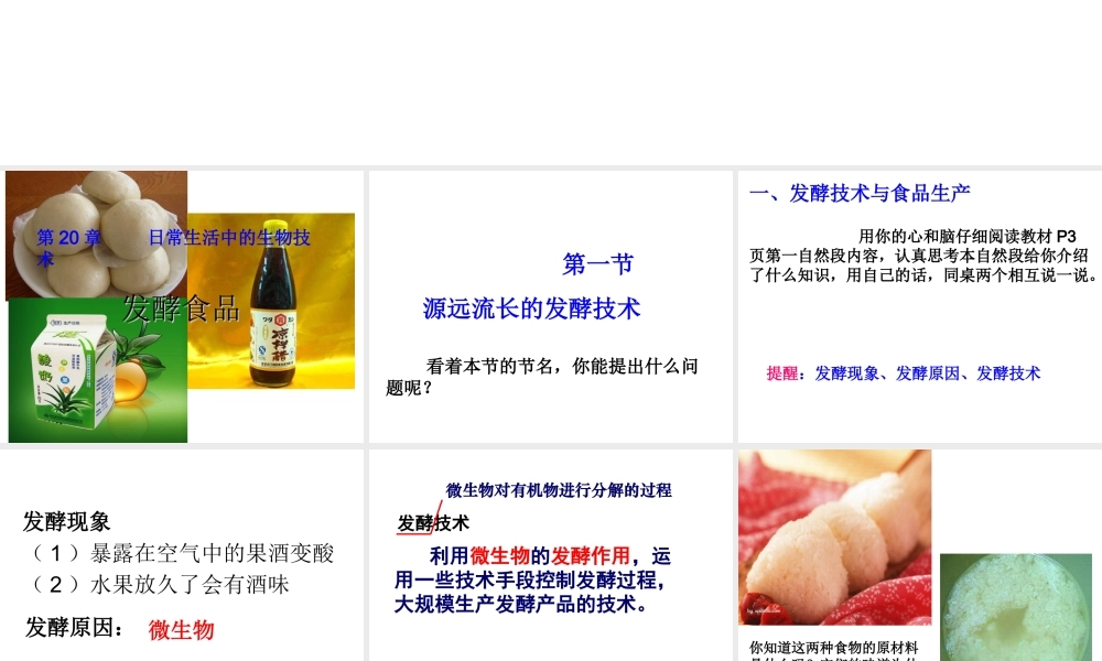 2014年秋八年级生物上册 第二十章 第一节 源远流长的发酵技术课件 苏教版