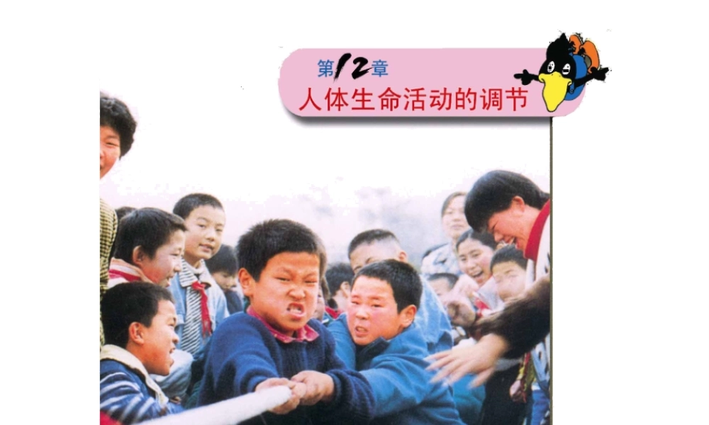 2014七年级生物下册 4.12.1 人体的激素调节课件一 （新版）苏教版