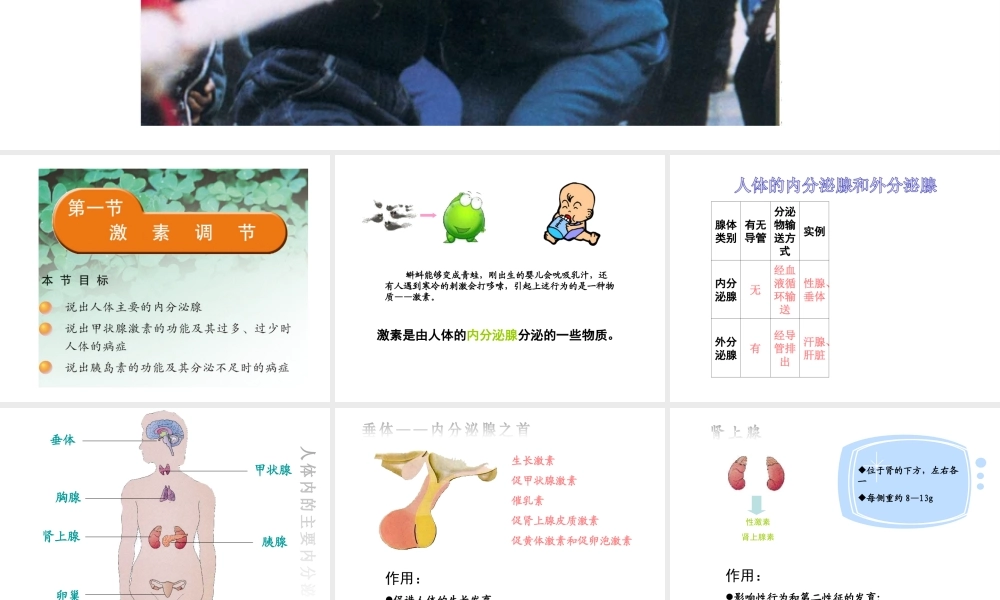 2014七年级生物下册 4.12.1 人体的激素调节课件一 （新版）苏教版