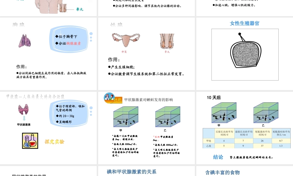 2014七年级生物下册 4.12.1 人体的激素调节课件一 （新版）苏教版
