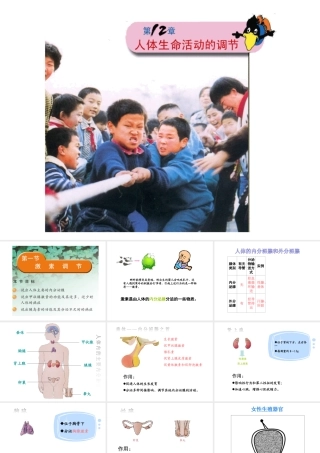 2014七年级生物下册 4.12.1 人体的激素调节课件一 （新版）苏教版