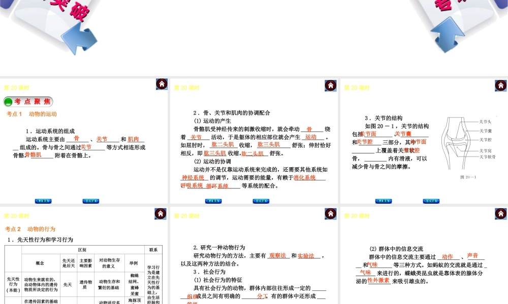 2014中考生物复习方案 动物的运动和行为（考点聚焦+专项突破，含2013试题）课件 新人教版