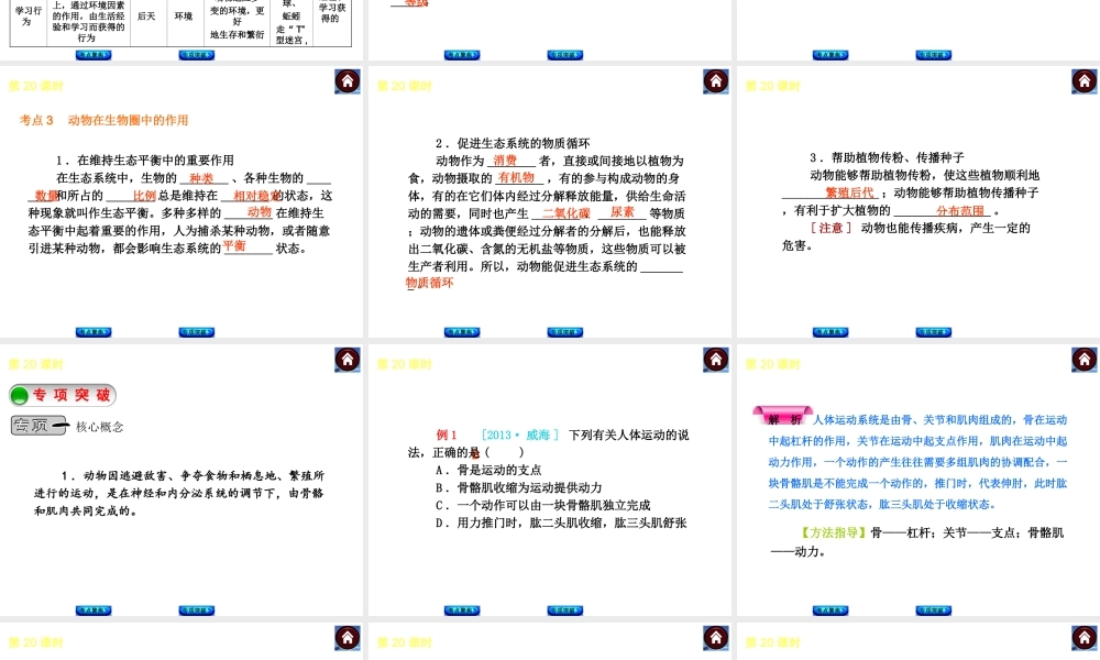 2014中考生物复习方案 动物的运动和行为（考点聚焦+专项突破，含2013试题）课件 新人教版
