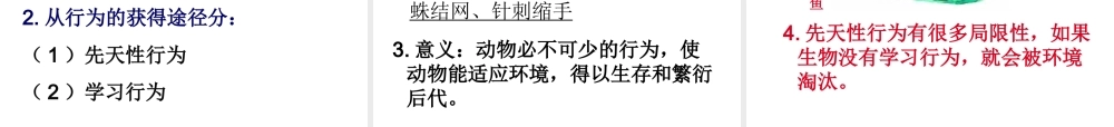 2014年秋八年级生物上册 第二章 第二节 先天性行为和学习行为课件 新人教版