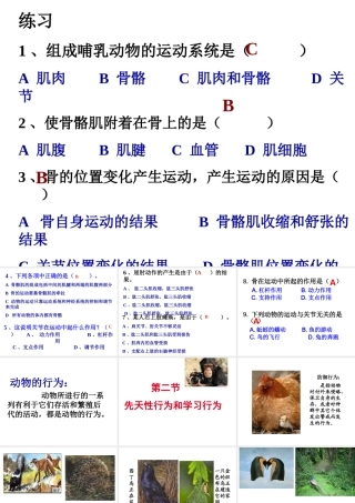 2014年秋八年级生物上册 第二章 第二节 先天性行为和学习行为课件 新人教版