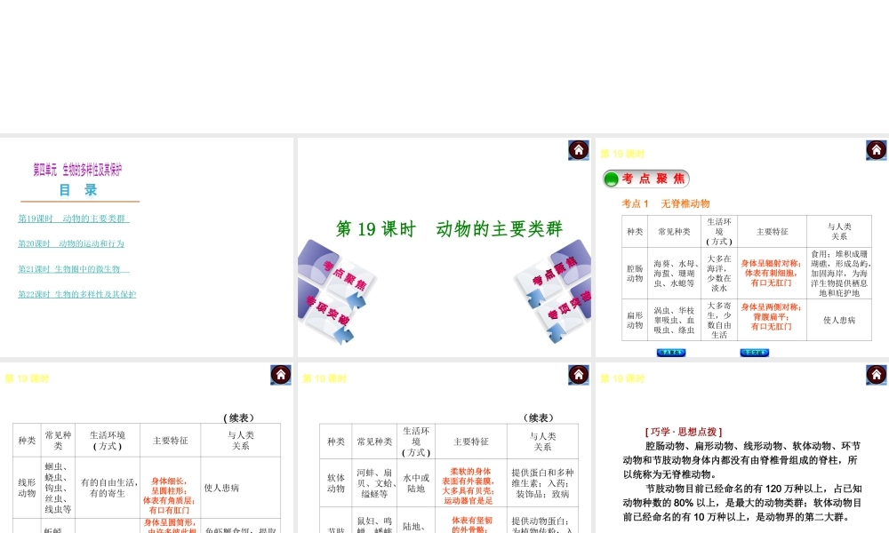 2014中考生物复习方案 动物的主要类群（考点聚焦+专项突破，含2013试题）课件 新人教版