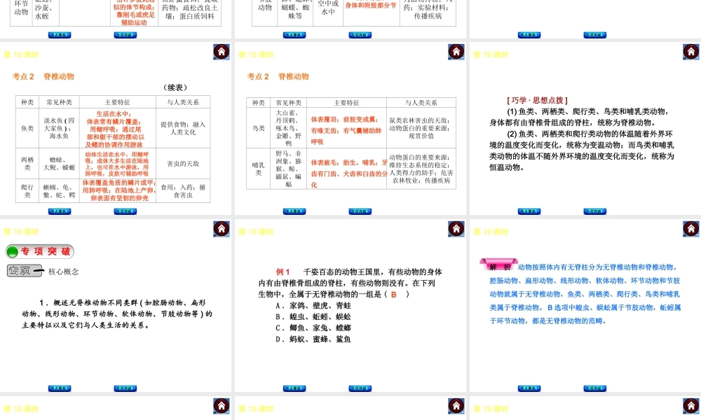 2014中考生物复习方案 动物的主要类群（考点聚焦+专项突破，含2013试题）课件 新人教版