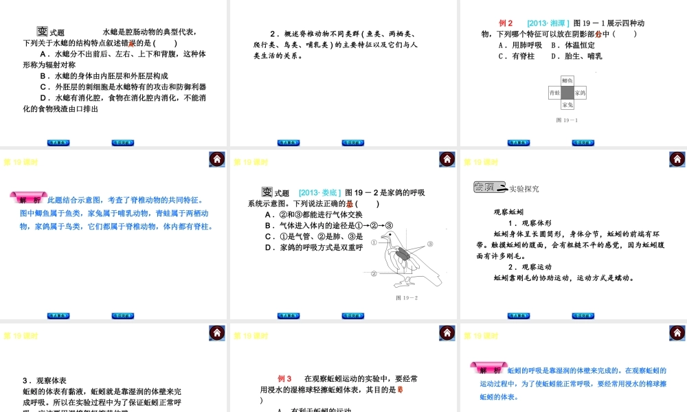 2014中考生物复习方案 动物的主要类群（考点聚焦+专项突破，含2013试题）课件 新人教版