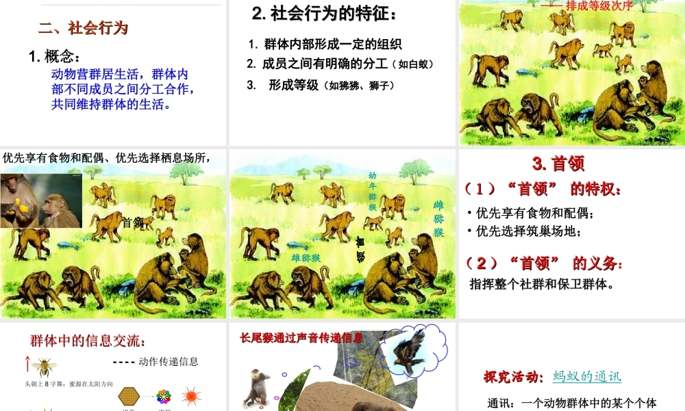2014年秋八年级生物上册 第二章 第三节 社会行为课件 新人教版
