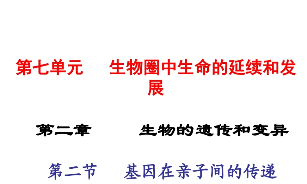 2015春八年级生物下册 第七单元 第二章 第二节 基因在亲子间的传递课件 新人教版