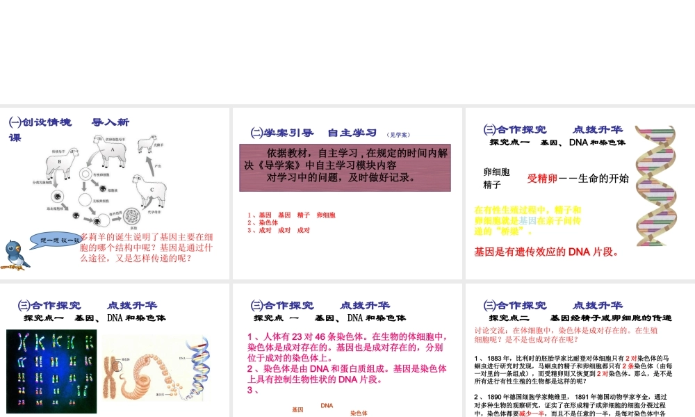 2015春八年级生物下册 第七单元 第二章 第二节 基因在亲子间的传递课件 新人教版