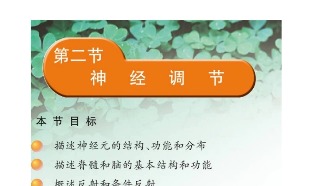 2014七年级生物下册 4.12.2 人体的神经调节课件一 （新版）苏教版