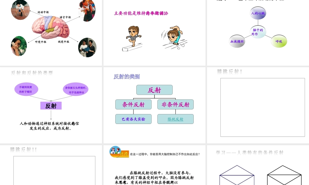 2014七年级生物下册 4.12.2 人体的神经调节课件一 （新版）苏教版