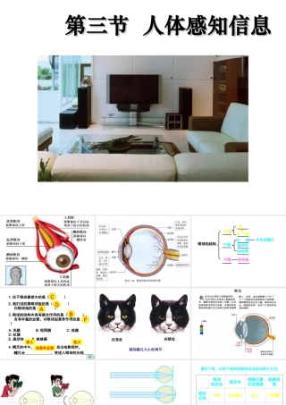 2014七年级生物下册 4.12.3 人体感知信息课件二 （新版）苏教版