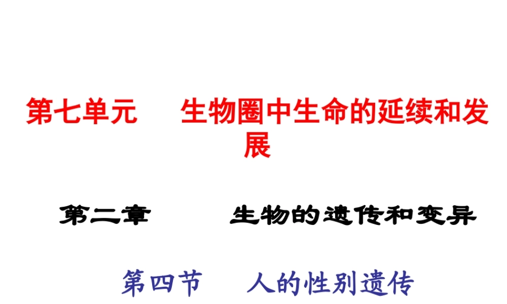 2015春八年级生物下册 第七单元 第二章 第四节 人的性别遗传课件 新人教版