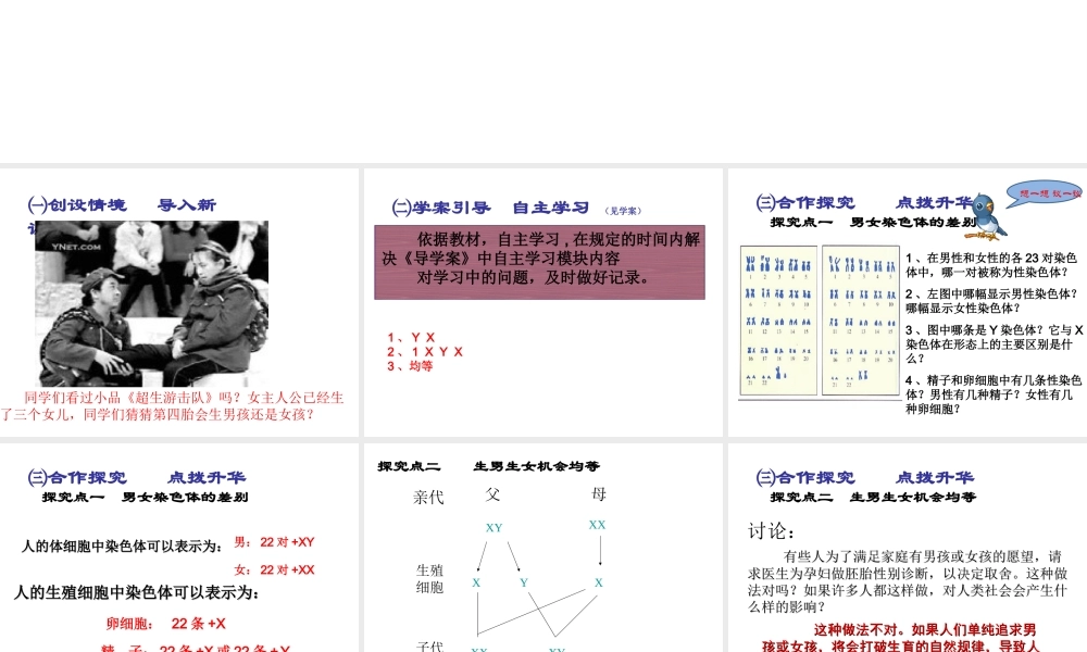 2015春八年级生物下册 第七单元 第二章 第四节 人的性别遗传课件 新人教版