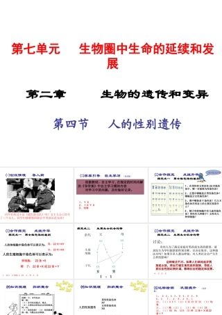 2015春八年级生物下册 第七单元 第二章 第四节 人的性别遗传课件 新人教版