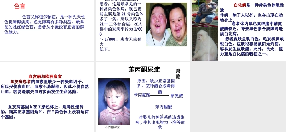 2014年秋八年级生物上册 第六单元 第六节 遗传病和人类健康课件 北师大版